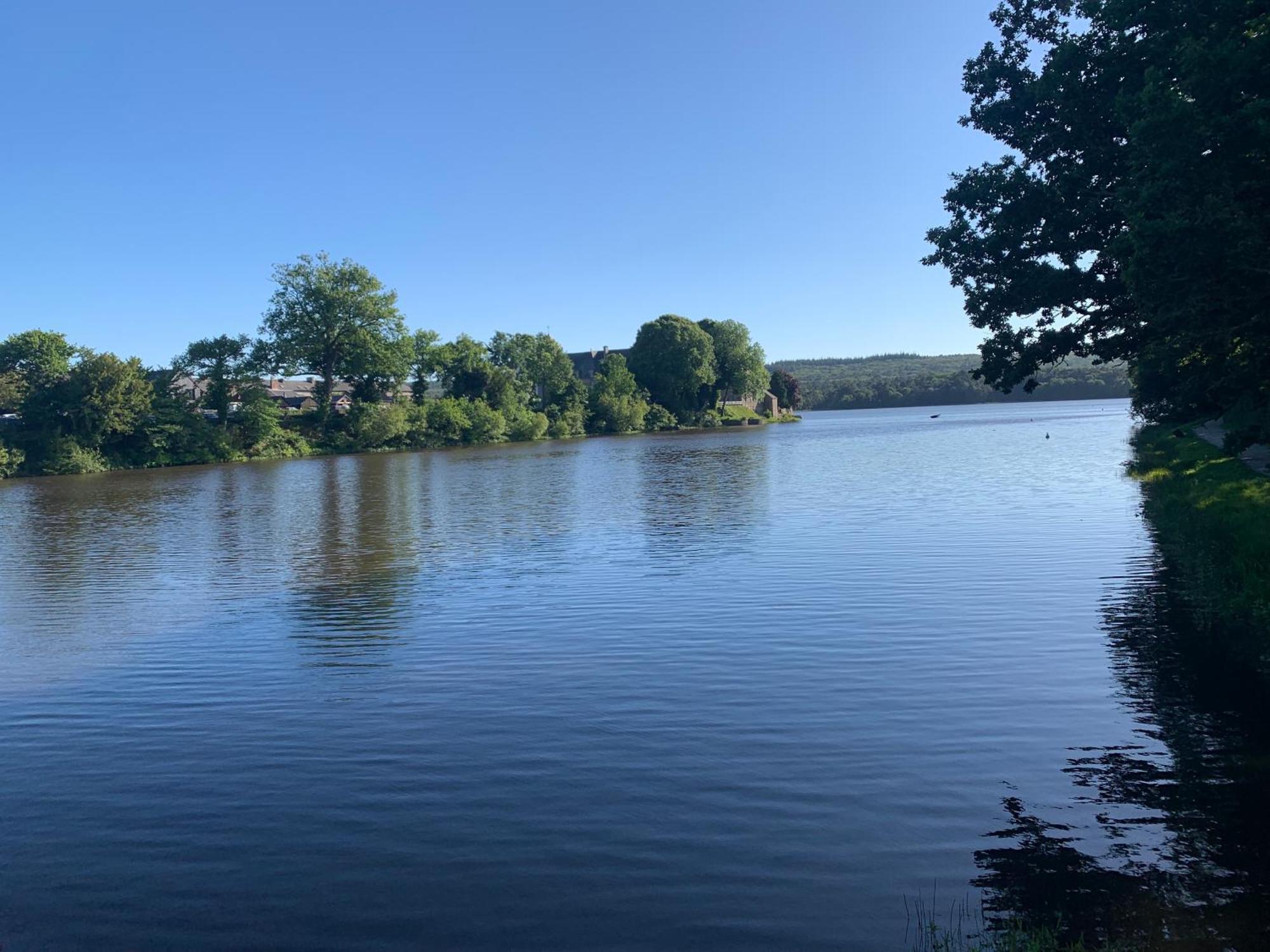 Gite La Dame Du Lac Villa Paimpont Buitenkant foto